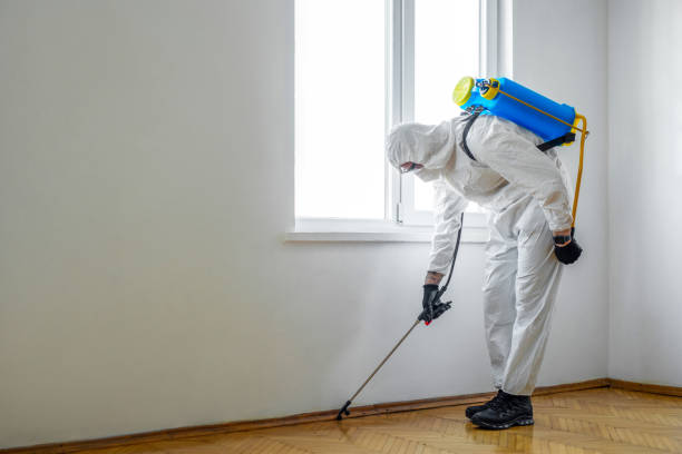 Pest Prevention Services in Beaverton, OR